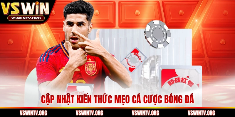 Cập nhật kiến thức mẹo cá cược bóng đá 