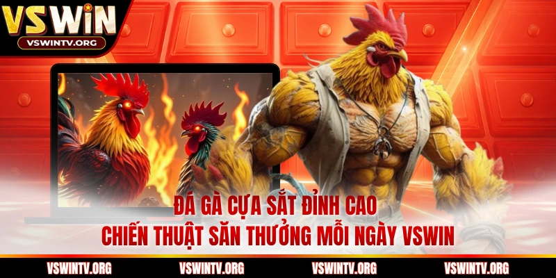 Đá Gà Cựa Sắt Đỉnh Cao Chiến Thuật Săn Thưởng Mỗi Ngày VSWIN