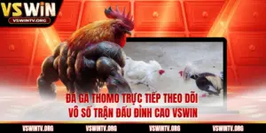 Đá Gà Thomo Trực Tiếp Theo dõi Vô Số Trận Đấu Đỉnh Cao VSWIN