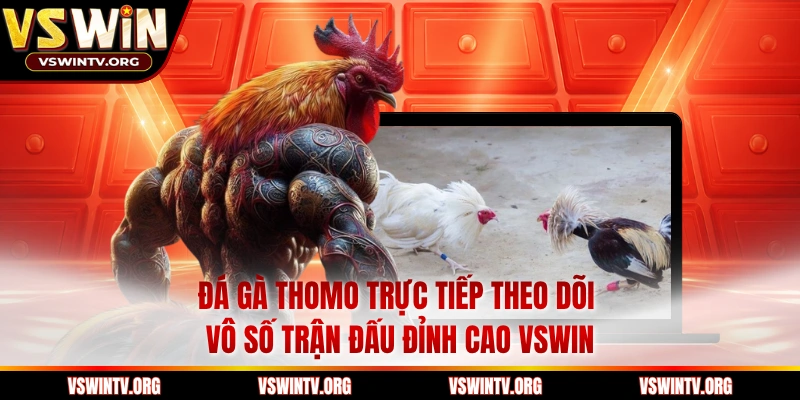 Đá Gà Thomo Trực Tiếp Theo dõi Vô Số Trận Đấu Đỉnh Cao VSWIN