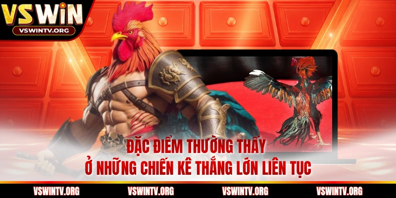 Đặc điểm thường thấy ở những chiến kê thắng lớn liên tục