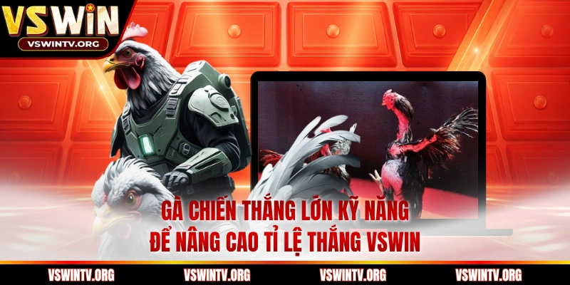 Gà Chiến Thắng Lớn Kỹ Năng Để Nâng Cao Tỉ Lệ Thắng VSWIN