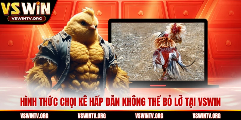Hình thức chọi kê hấp dẫn không thể bỏ lỡ tại VSWIN