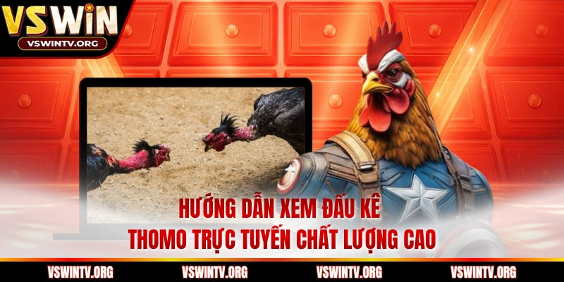 Hướng dẫn xem đấu kê Thomo trực tuyến chất lượng cao