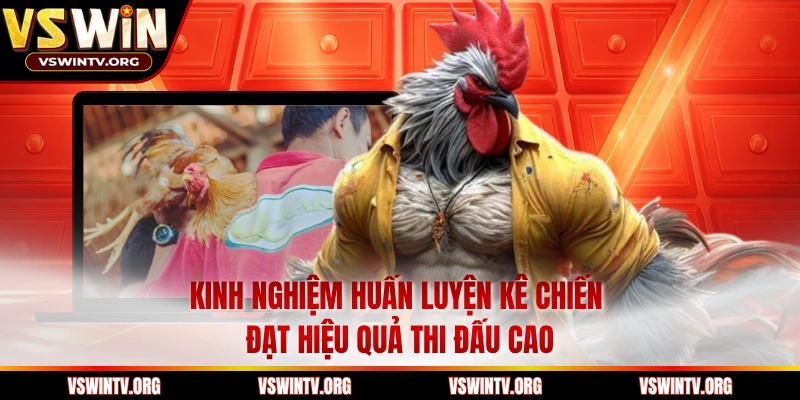 Kinh nghiệm huấn luyện kê chiến đạt hiệu quả thi đấu cao