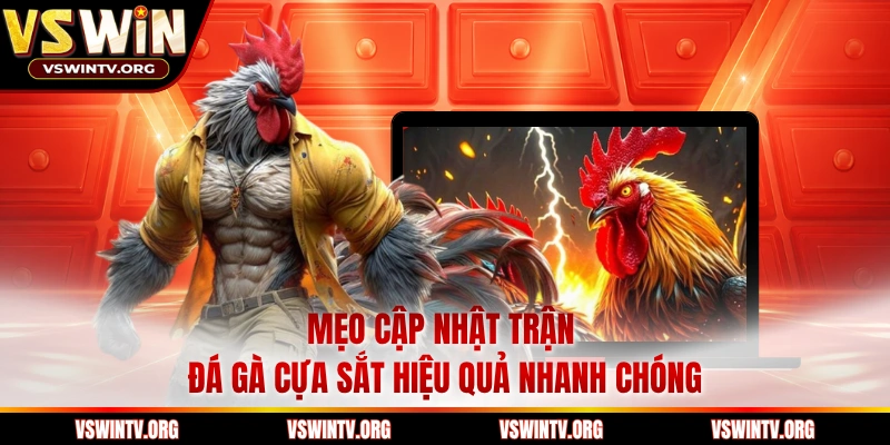 Mẹo cập nhật trận đá gà cựa sắt hiệu quả nhanh chóng