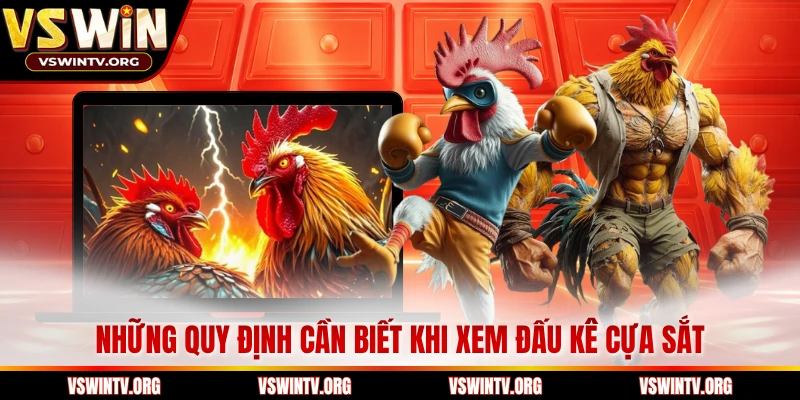 Những quy định cần biết khi xem đấu kê cựa sắt