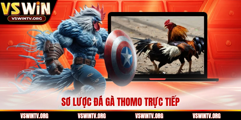 Sơ lược đá gà Thomo trực tiếp