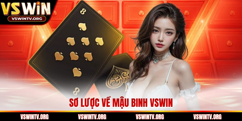 Sơ lược về mậu binh VSWIN 