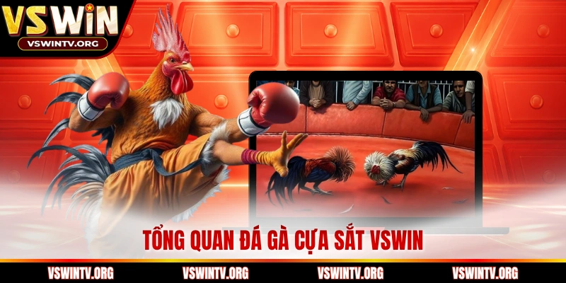 Tổng quan đá gà cựa sắt VSWIN 