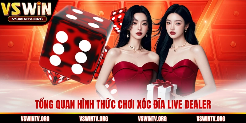 Tổng quan hình thức chơi xóc đĩa live dealer 