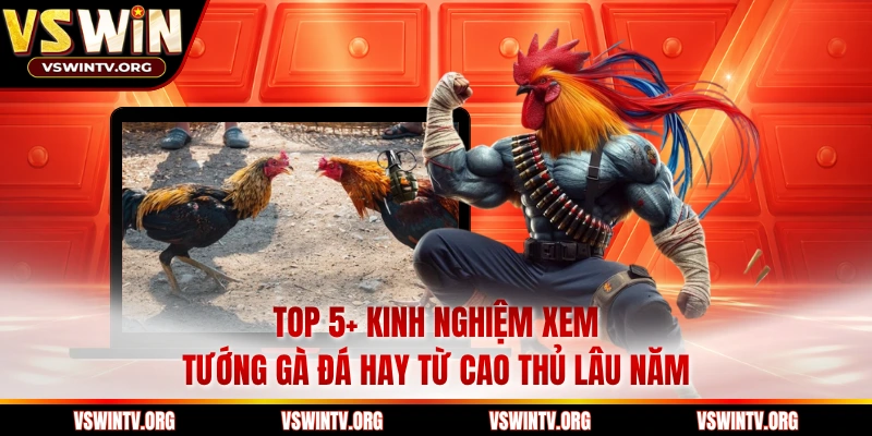 Top 5+ Kinh Nghiệm Xem Tướng Gà Đá Hay Từ Cao Thủ Lâu Năm