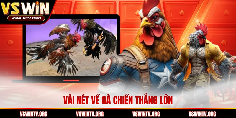 Vài nét về gà chiến thắng lớn 